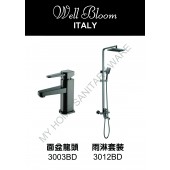 Well Bloom Italy 熱賣300系列黑拉絲龍頭連雨淋套裝(300BDR)