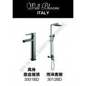 Well Bloom Italy 熱賣300系列黑拉絲龍頭連雨淋套裝(300BDR2)