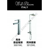 Well Bloom Italy 熱賣300系列不銹鋼拉絲龍頭連雨淋套裝(300WLR2)