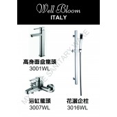 Well Bloom Italy 熱賣300系列不銹鋼拉絲龍頭套裝(300WL2)
