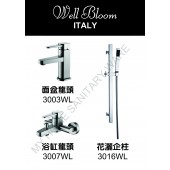 Well Bloom Italy 熱賣300系列不銹鋼拉絲龍頭套裝(300WL)