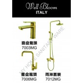 Well Bloom Italy 熱賣700系列拉絲金龍頭連雨淋套裝(700MGR)