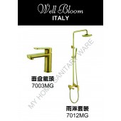 Well Bloom Italy 熱賣700系列拉絲金龍頭連雨淋套裝(700MGSET)