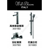 Well Bloom Italy 熱賣300系列黑拉絲龍頭套裝(300BD2)