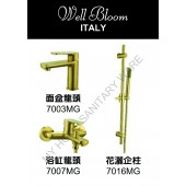 Well Bloom Italy 熱賣700系列拉絲金龍頭套裝(700MG)