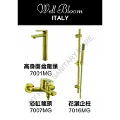 Well Bloom Italy 熱賣700系列拉絲金龍頭套裝(700MG2)