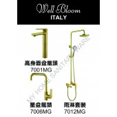Well Bloom Italy 熱賣700系列拉絲金龍頭連雨淋套裝(700MGR2)